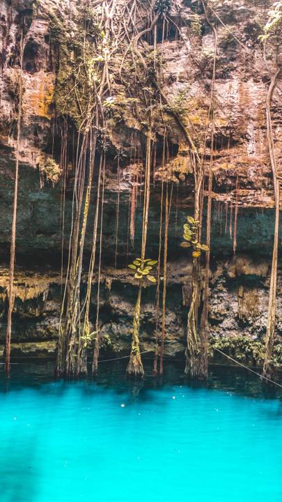 Cenote sink whole