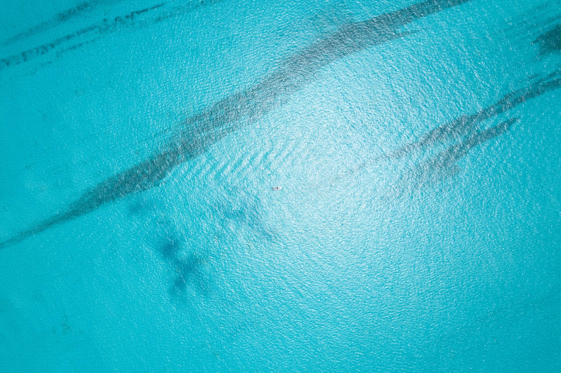 DJI 0664