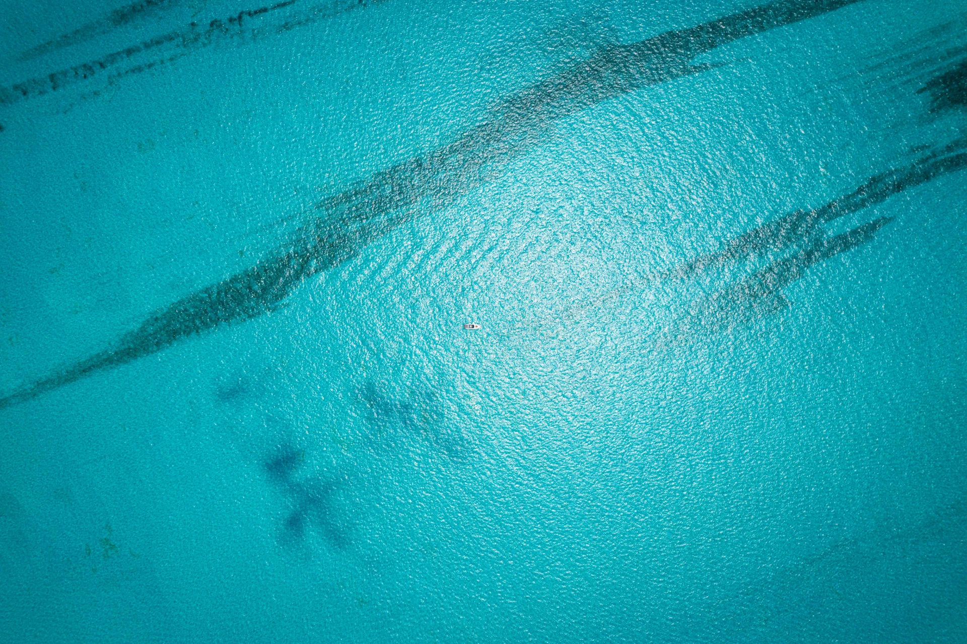 DJI 0666