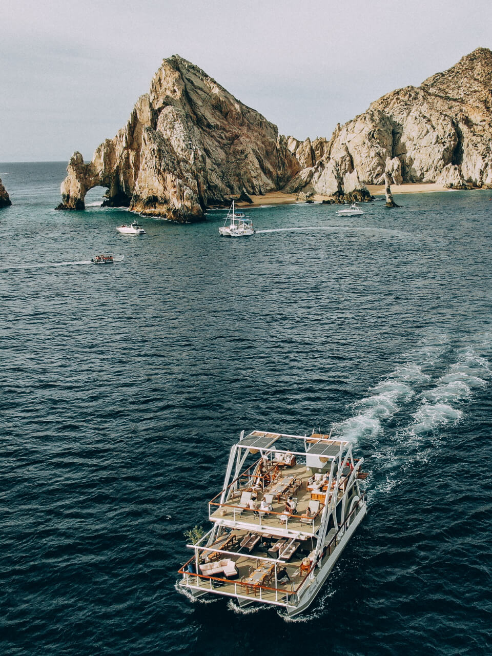 animalon-006 animalon 006